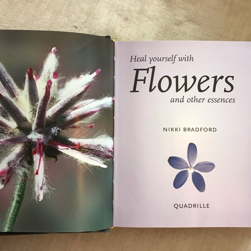 Heal Yourself With Flowers Book - Picture 6 of 7